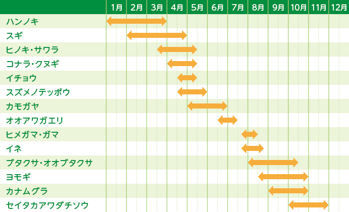 カモガヤ 花粉 2020