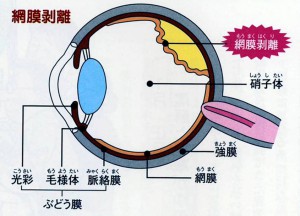 moumakuhakuri-1